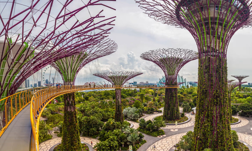 Super-Trees-in-Singapore