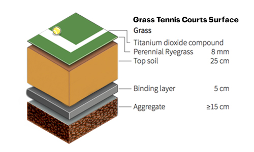 Grass Tennis Courts Surface