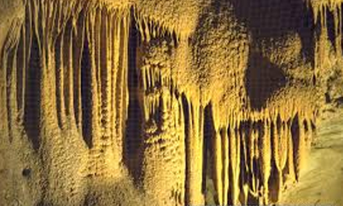 10 Interesting Facts About Mammoth Cave