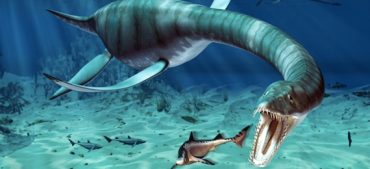 15 World’s Biggest Sea Creatures