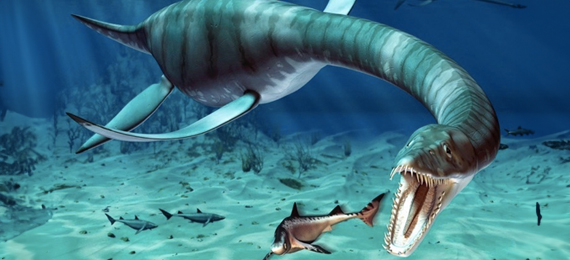 Biggest-Sea-Creatures