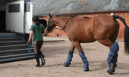 No-Riding-Horses-Up-Stairs