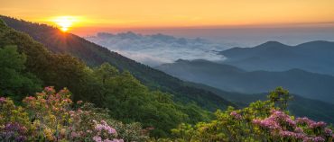 Appalachian Mountains : Facts, Map, Species, Musics, Region