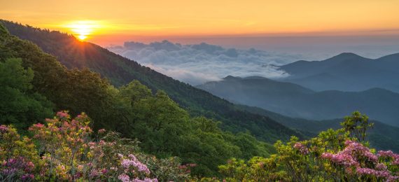 Appalachian Mountains : Facts, Map, Species, Musics, Region