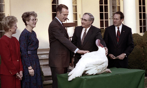 The President and The Turkey Tradition