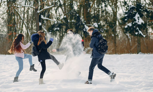 What-is-a-Snowball-Fight