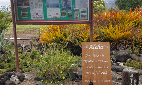 Exact Meaning of Aloha